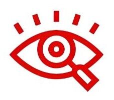 Vision