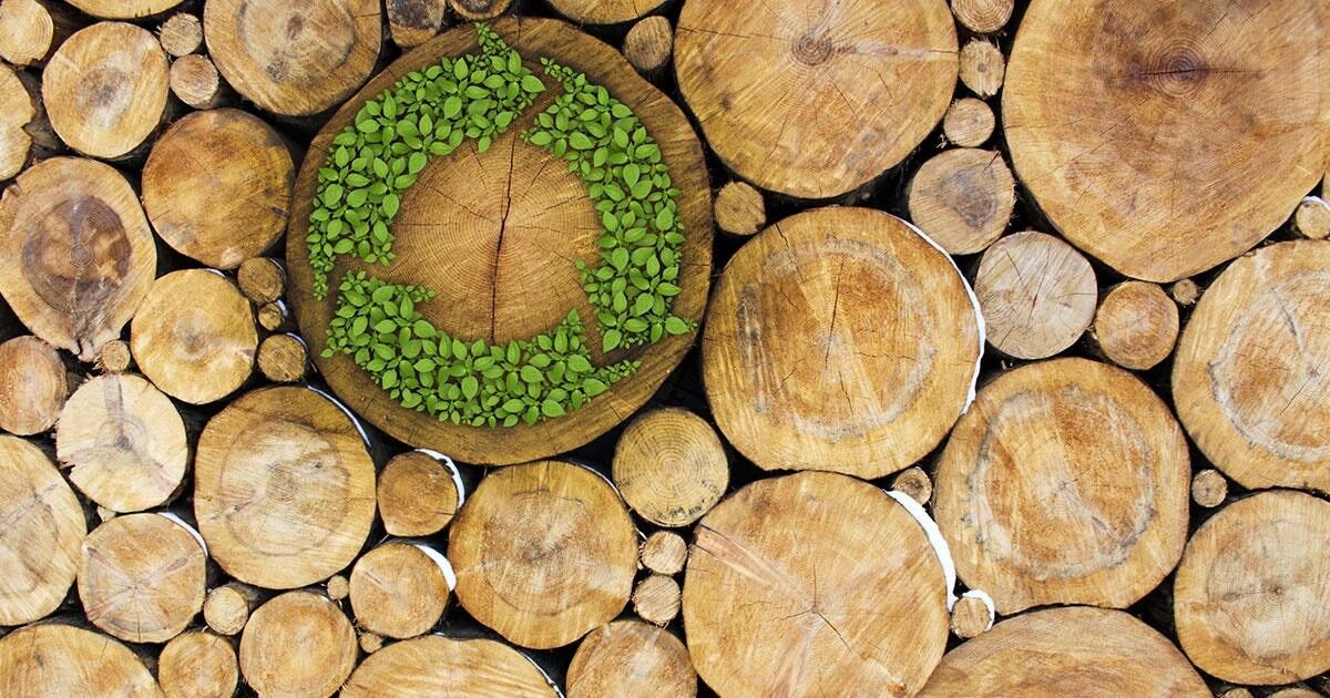 why-sustainably-sourced-wooden-doors-from-artwins--a-leading-manufacturer-in-hubli--are-better-for-your-home--the-planet-thumbnail
